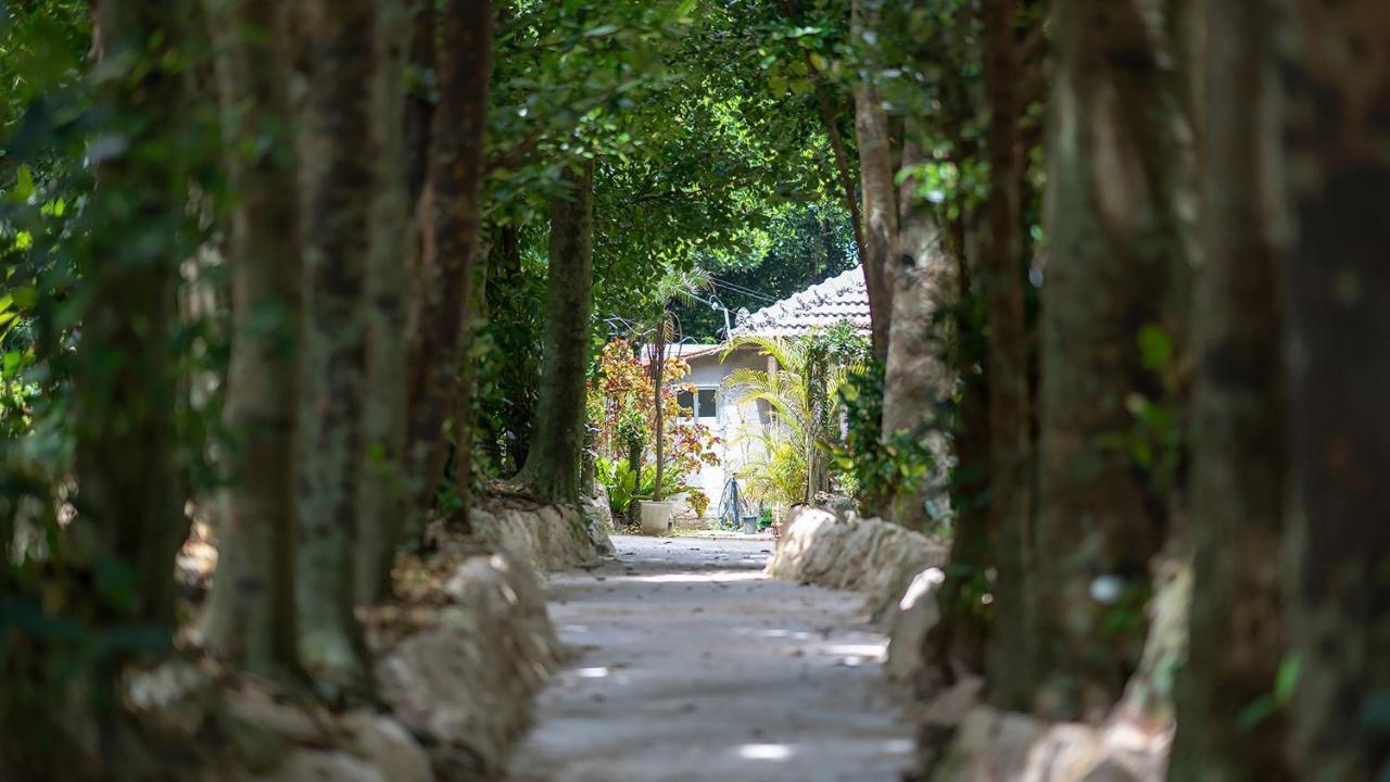 La Ohana～瀬底島～（2022年open） Okinawa Ngoại thất bức ảnh